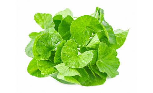 Richwood centella titrated extract