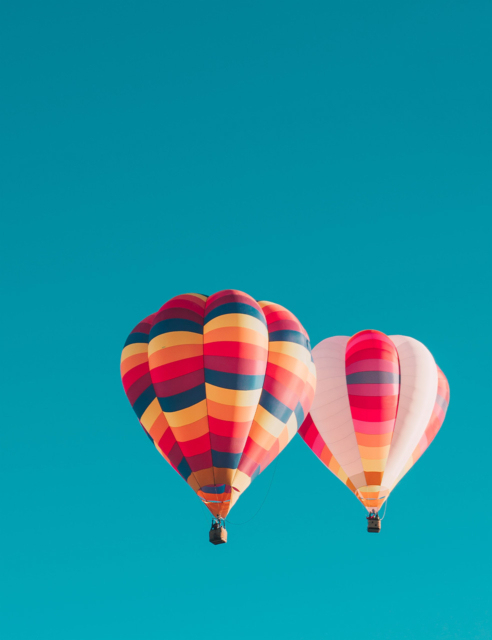 풍림무약 주식회사 웹진 1호