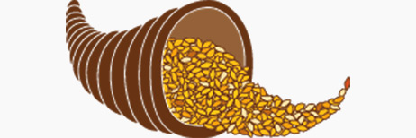 IL GRANAIO DELLE IDEE