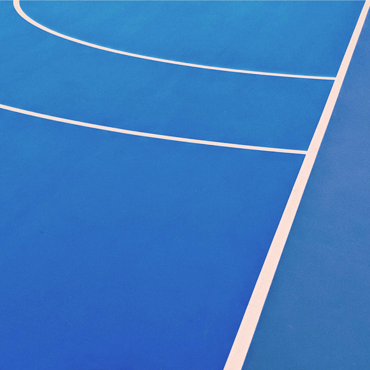 기능성 식품 사업